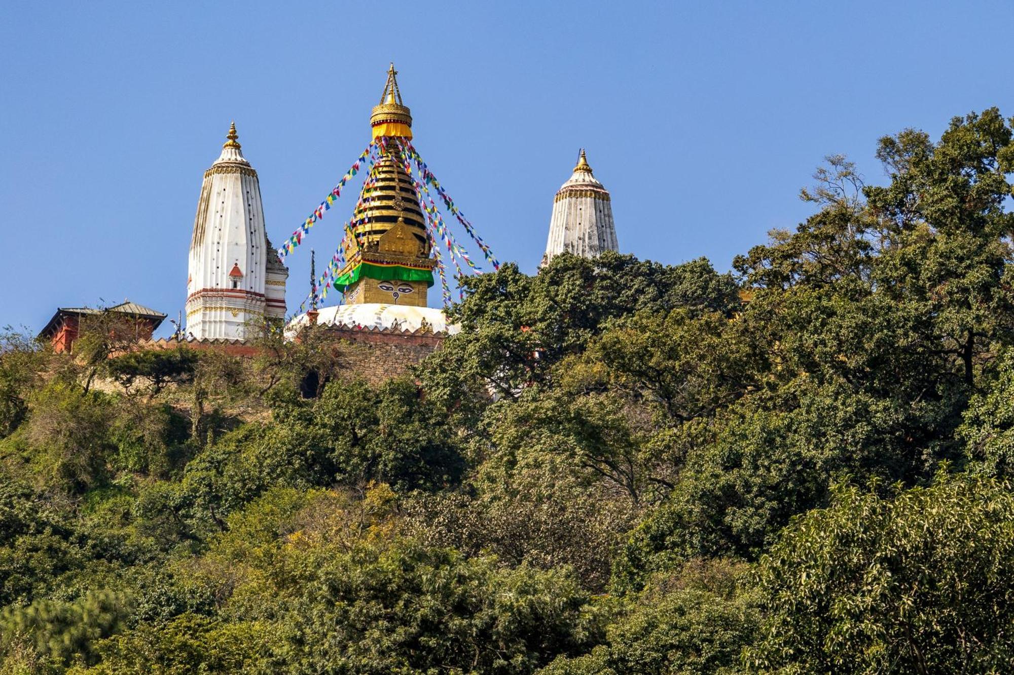 House Of Forrest, Service Apartments Katmandu Zewnętrze zdjęcie